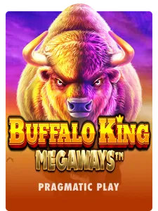 Buffalo King