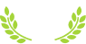 #1 Social Casino